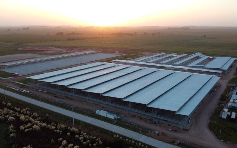 Mercado Agro Ganadero (MAG)