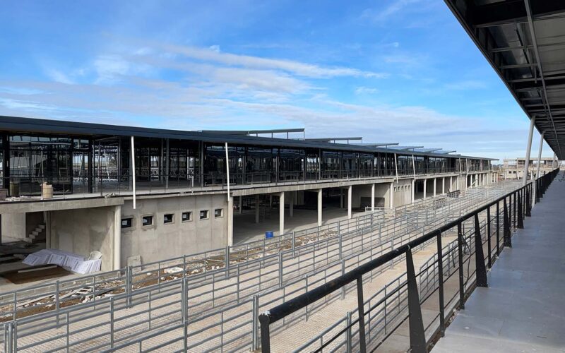 Mercado Agro Ganadero (MAG)