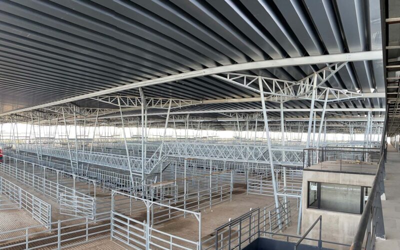 Mercado Agro Ganadero (MAG)